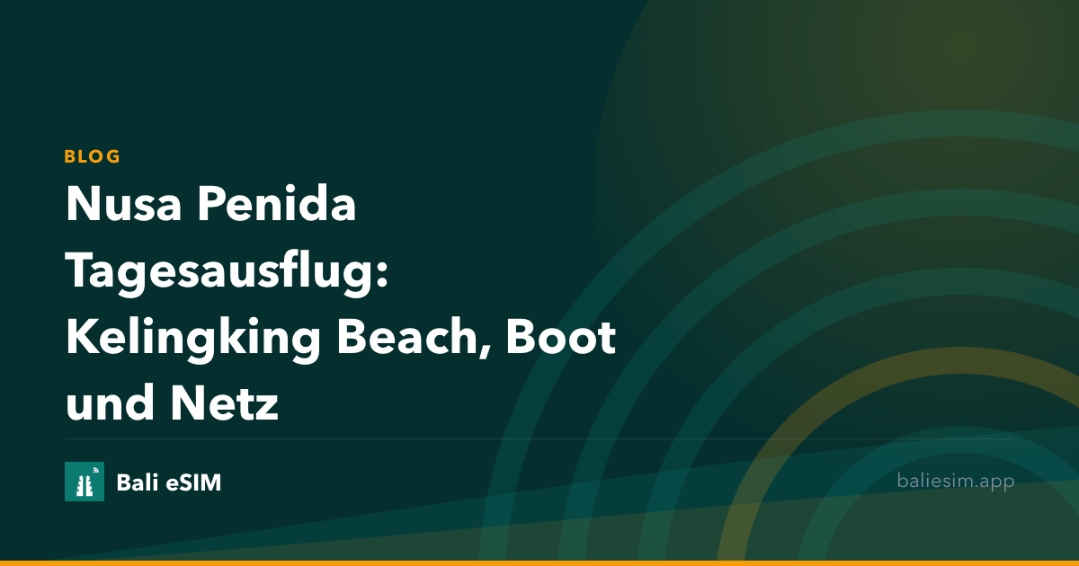 Nusa Penida Tagesausflug: Kelingking Beach, Boot und Netz