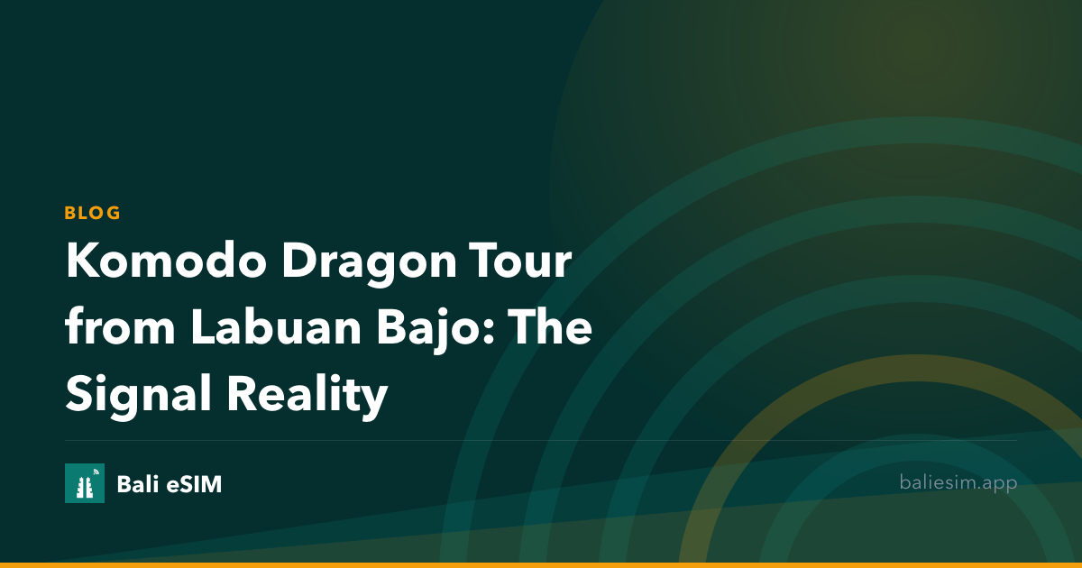 Komodo Dragon Tour from Labuan Bajo: The Signal Reality