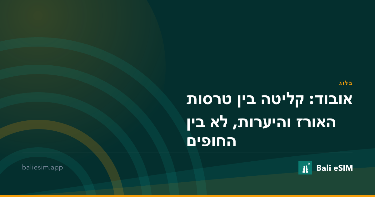 אובוד: קליטה בין טרסות האורז והיערות, לא בין החופים