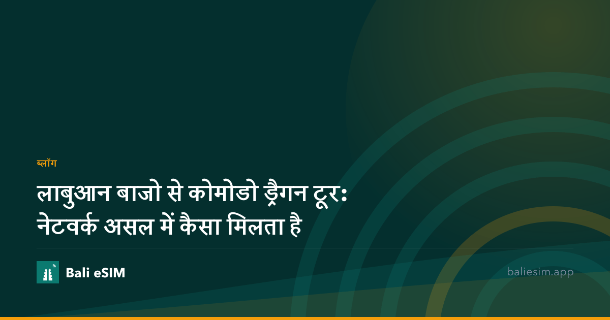 लाबुआन बाजो से कोमोडो ड्रैगन टूर: नेटवर्क असल में कैसा मिलता है